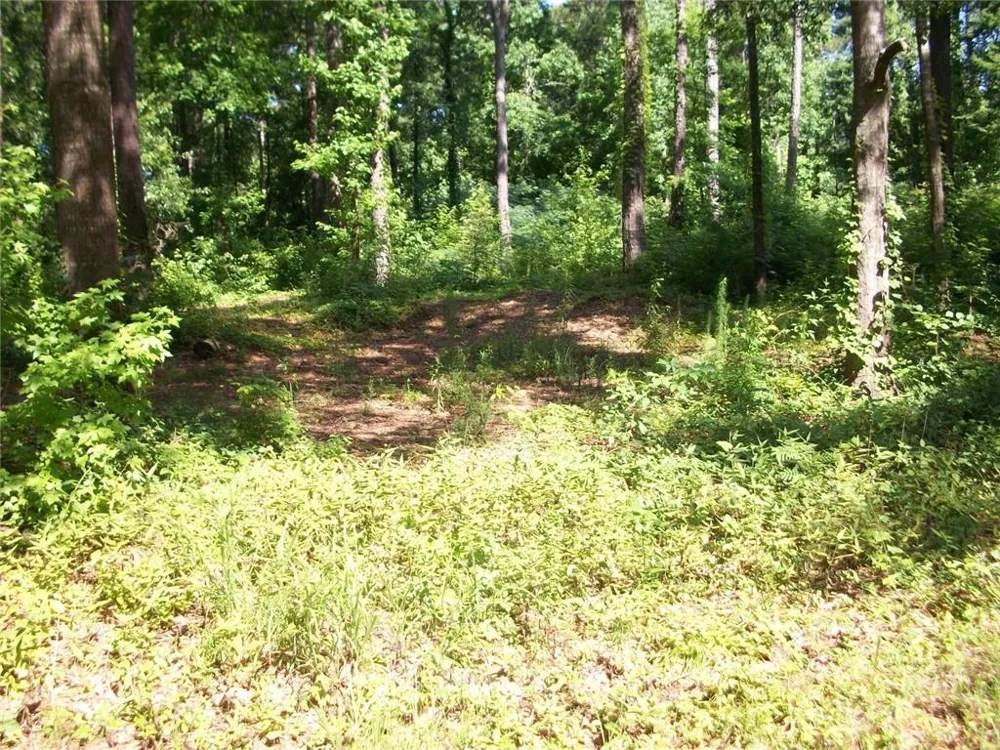 43 Shady Lane Jackson, GA 30233
