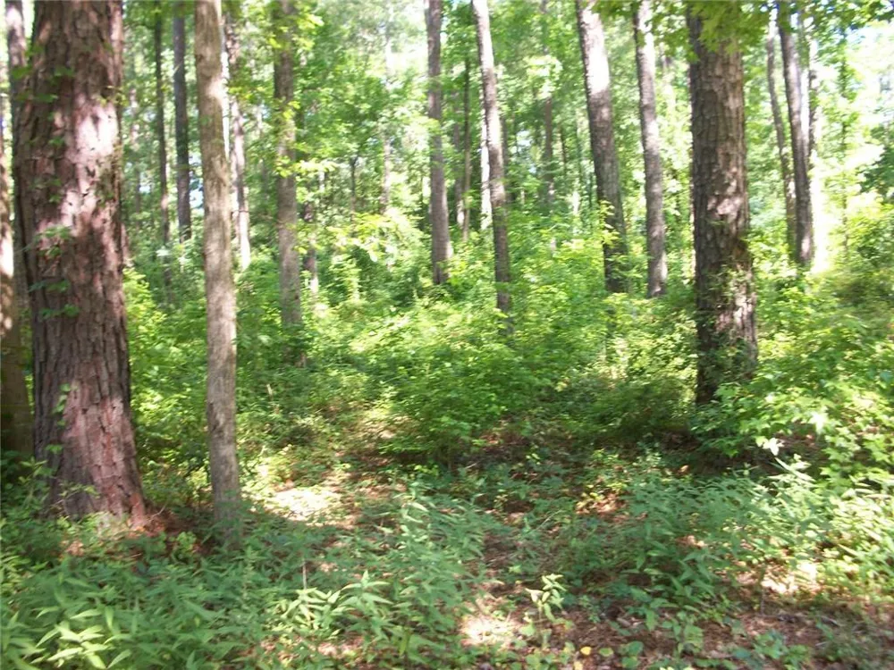 43 Shady Lane Jackson, GA 30233
