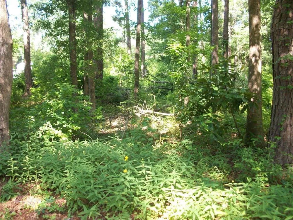 43 Shady Lane Jackson, GA 30233