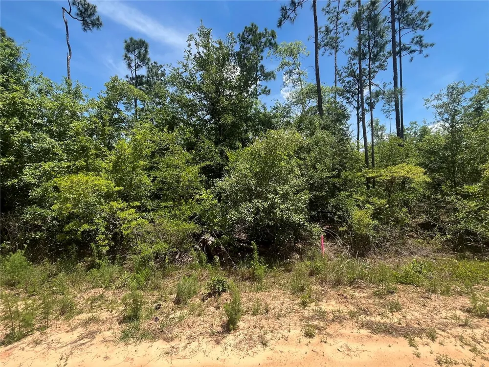 TAMARAC ROAD Marianna, FL 32448