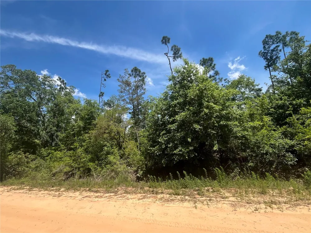 TAMARAC ROAD Marianna, FL 32448