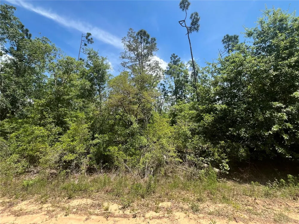 TAMARAC ROAD Marianna, FL 32448