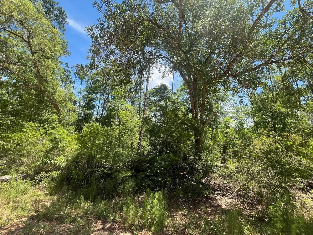 TAMARAC ROAD Marianna, FL 32448