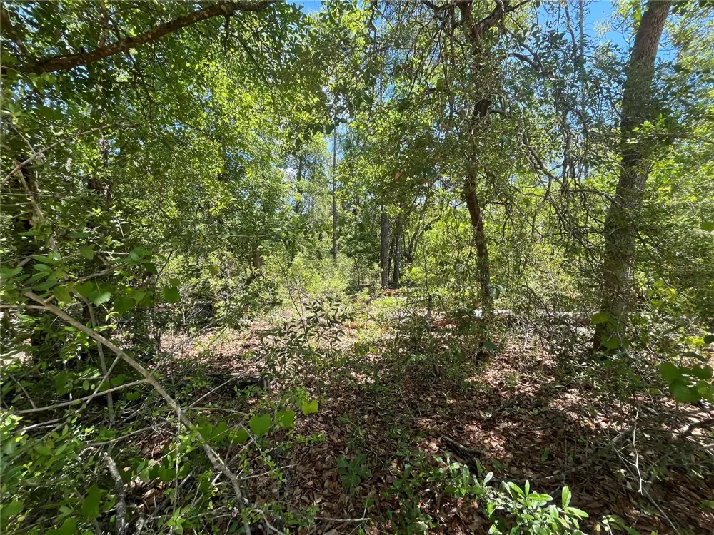 TAMARAC ROAD Marianna, FL 32448