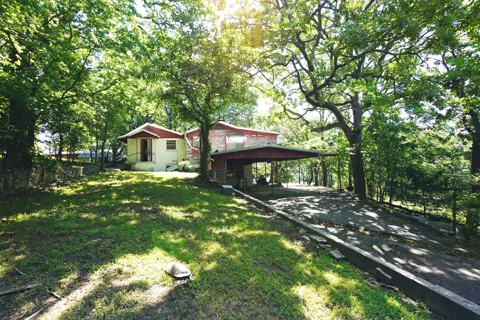 146 Skyline Drive
