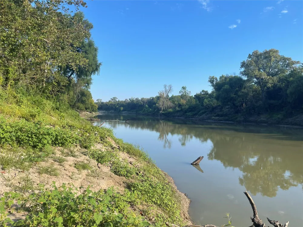 2667 Pr 1195 Midway, TX 75852
