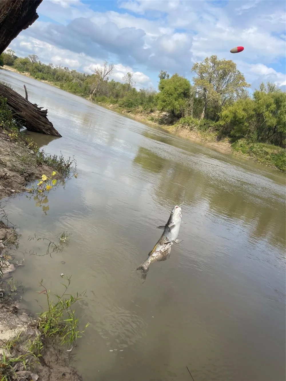 2667 Pr 1195 Midway, TX 75852
