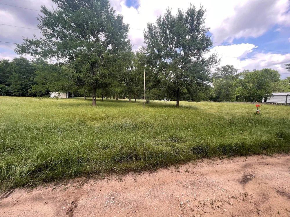 2667 Pr 1195 Midway, TX 75852