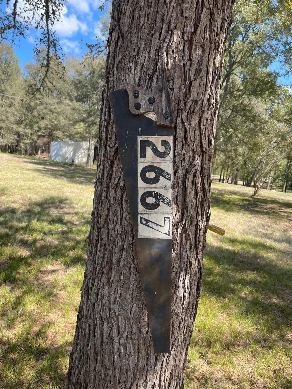 2667 Pr 1195 Midway, TX 75852