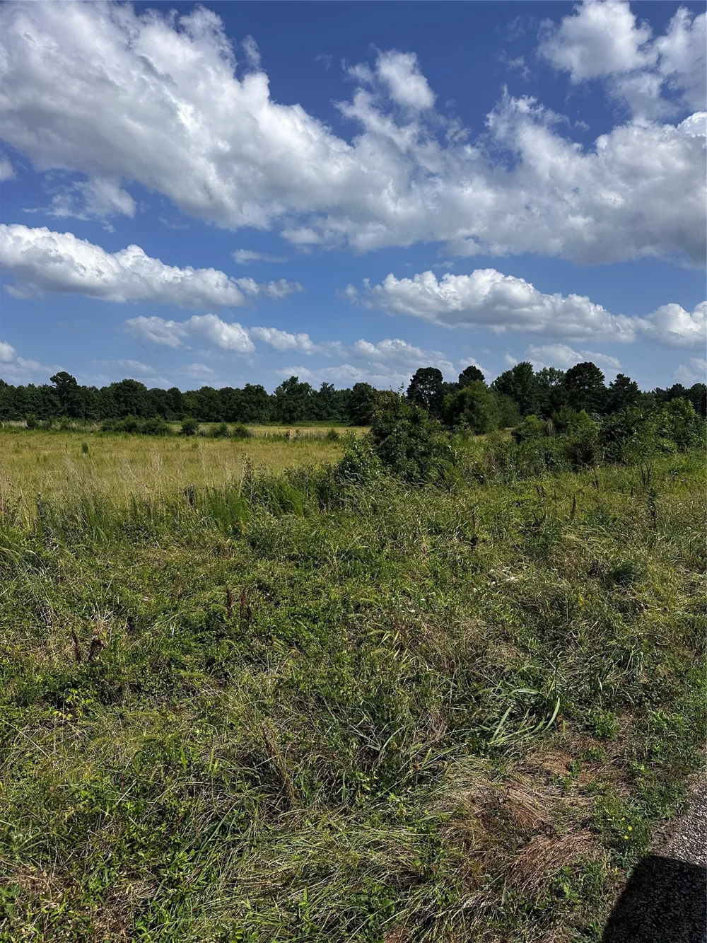 1 Fm-144 Daingerfield, TX 75638