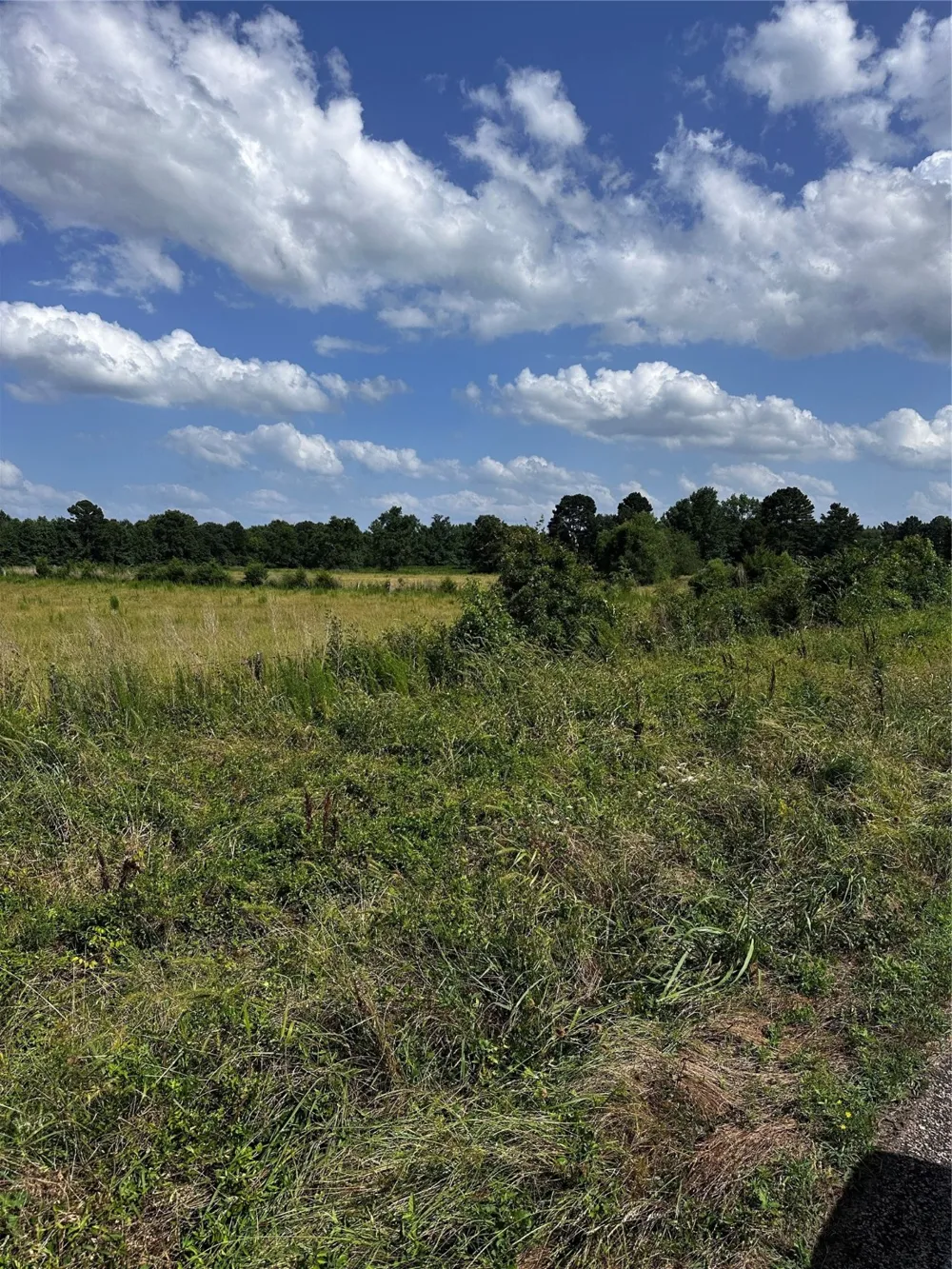 1 Fm-144 Daingerfield, TX 75638
