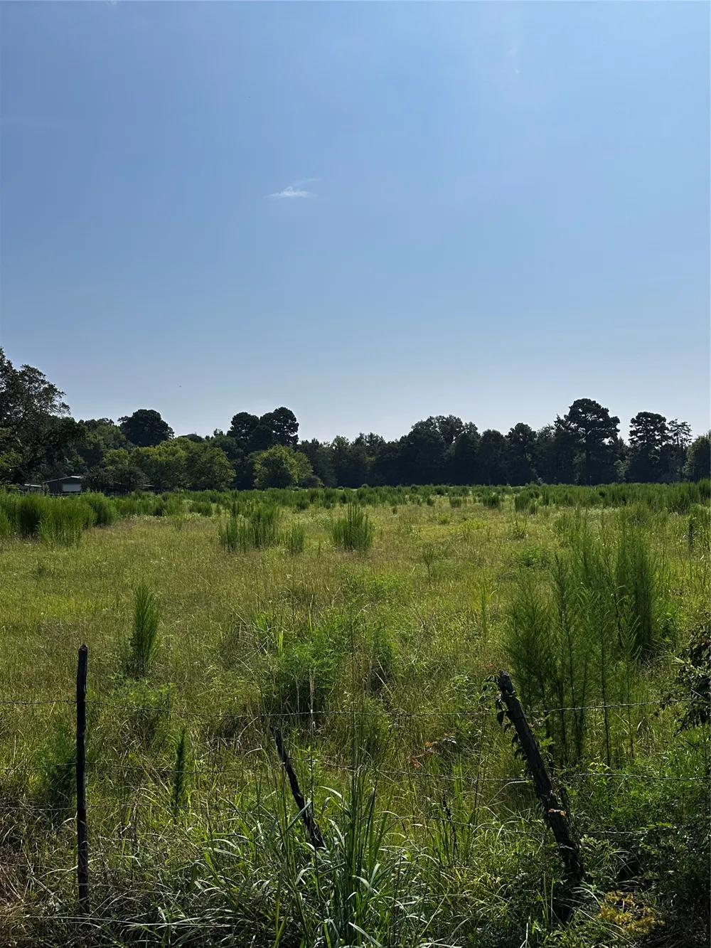 1 Fm-144 Daingerfield, TX 75638