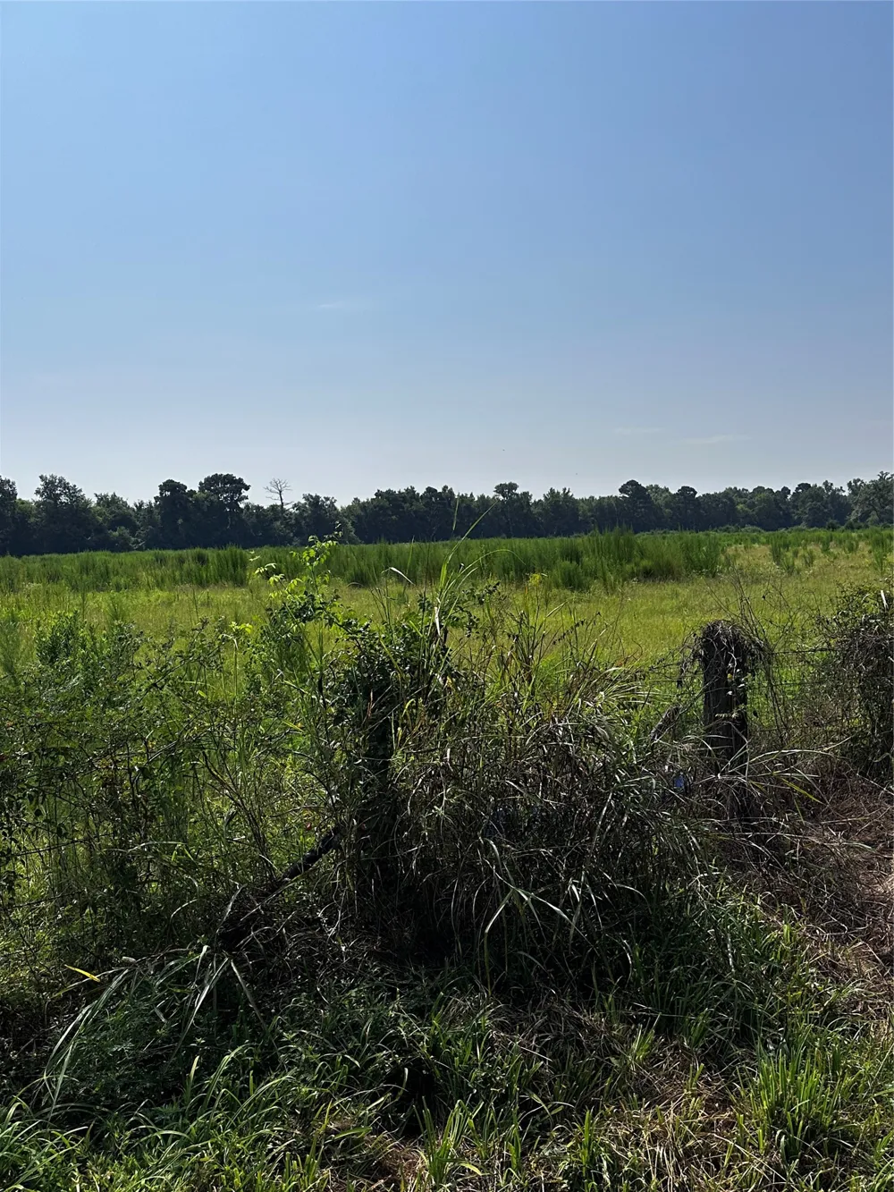1 Fm-144 Daingerfield, TX 75638