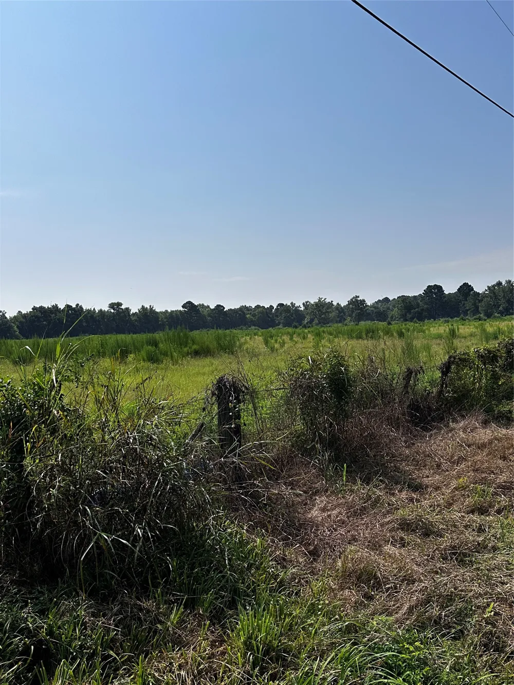 1 Fm-144 Daingerfield, TX 75638