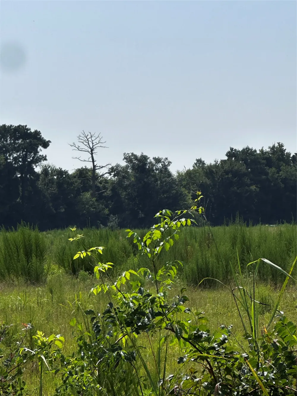1 Fm-144 Daingerfield, TX 75638