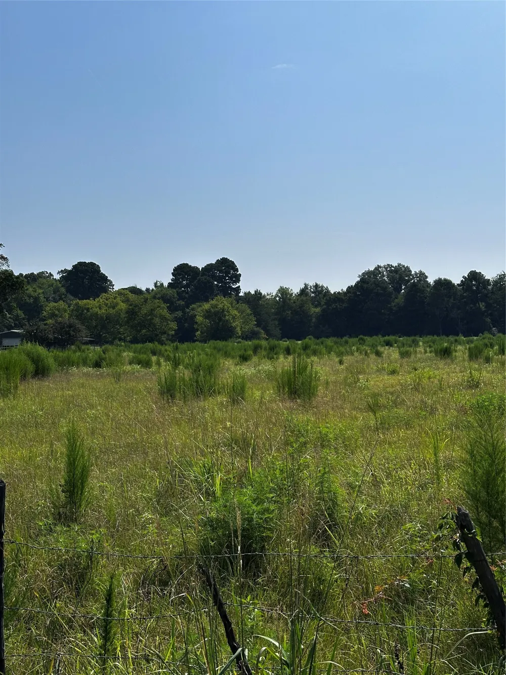1 Fm-144 Daingerfield, TX 75638