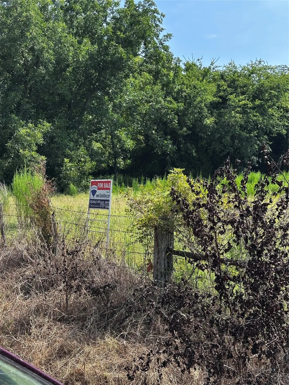1 Fm-144 Daingerfield, TX 75638