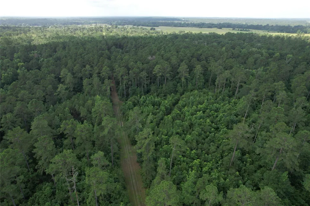 Cr 4020 Crockett, TX 75835