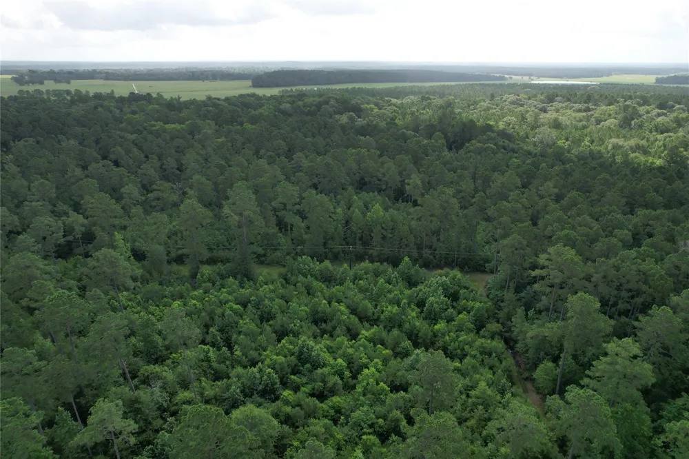 Cr 4020 Crockett, TX 75835