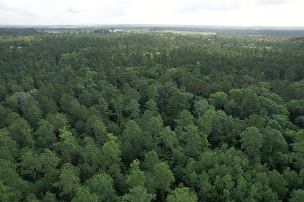 Cr 4020 Crockett, TX 75835