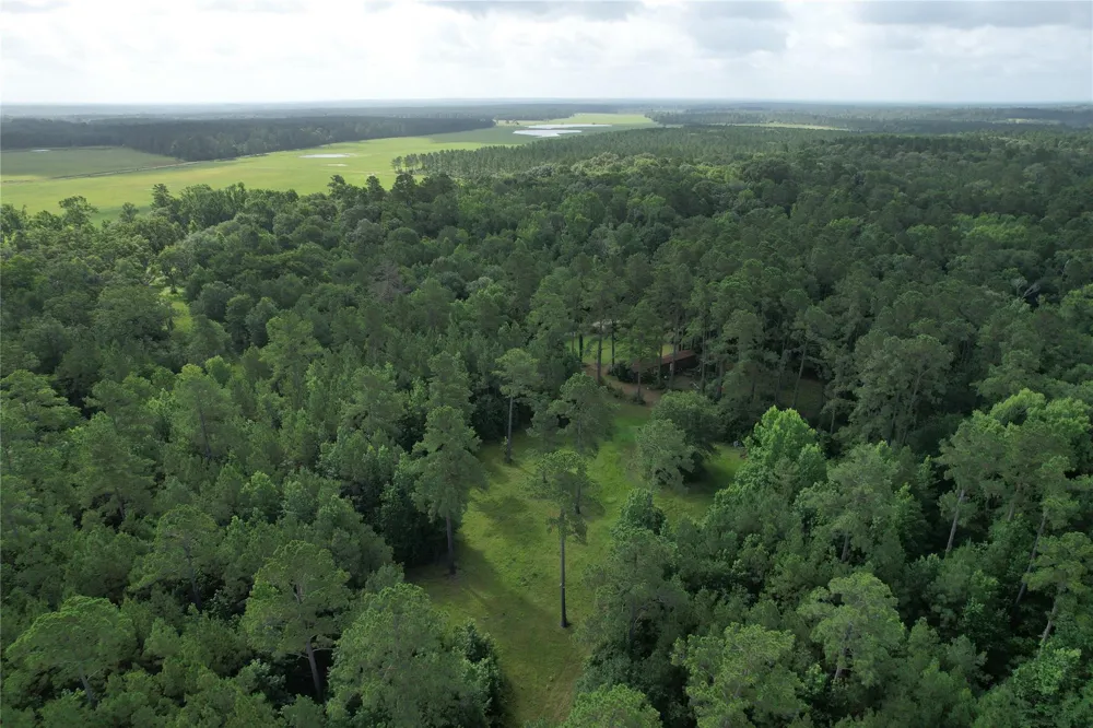 Cr 4020 Crockett, TX 75835
