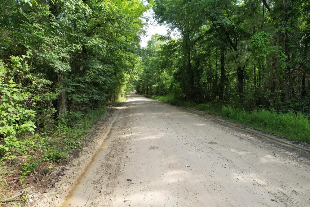Cr 4020 Crockett, TX 75835