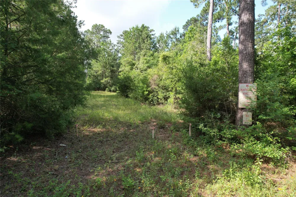 Cr 4020 Crockett, TX 75835