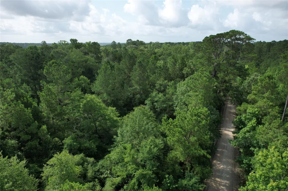 Cr 4020 Crockett, TX 75835