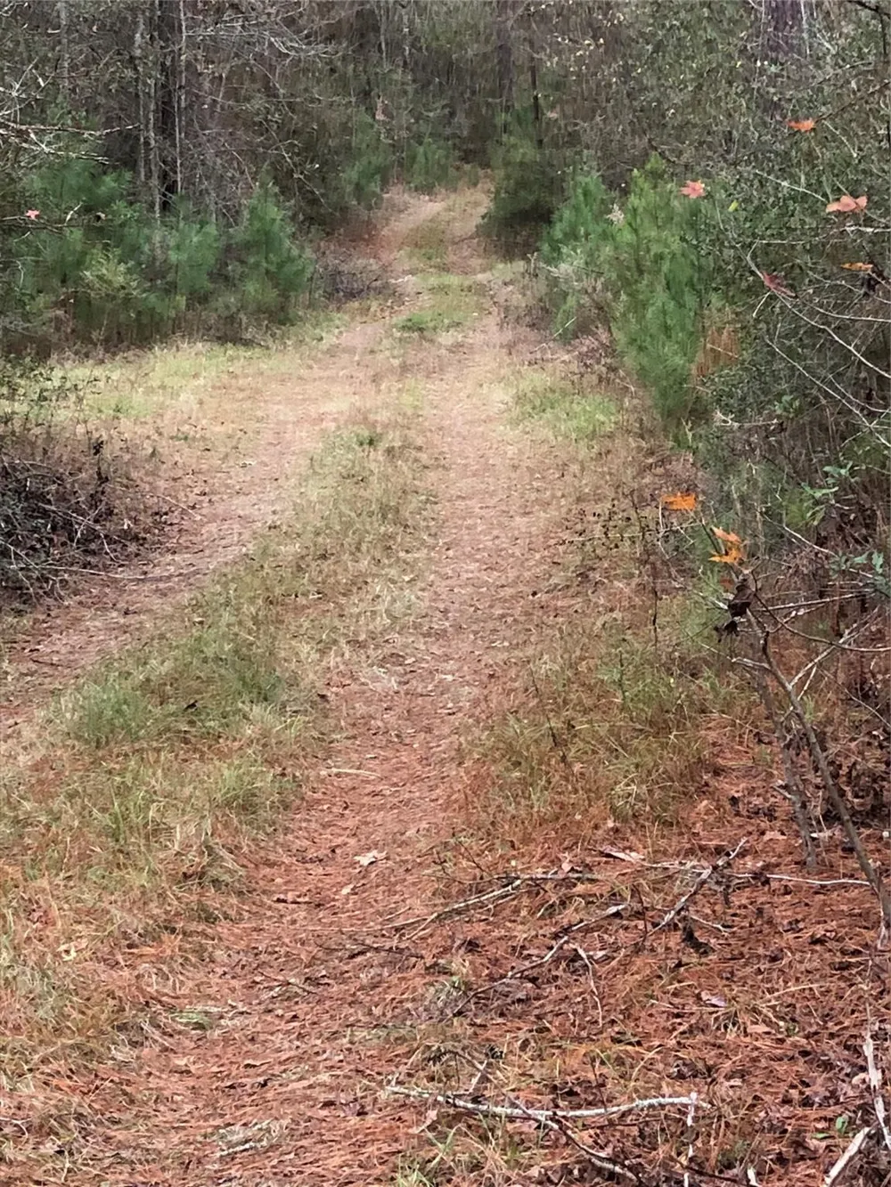 Cr 4020 Crockett, TX 75835