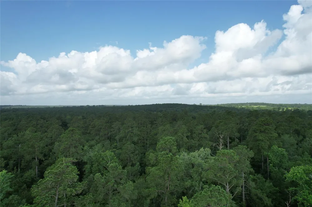 Cr 4020 Crockett, TX 75835
