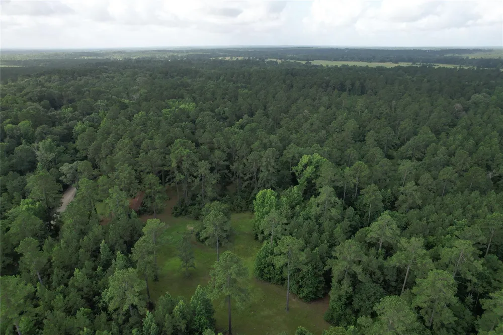 Cr 4020 Crockett, TX 75835