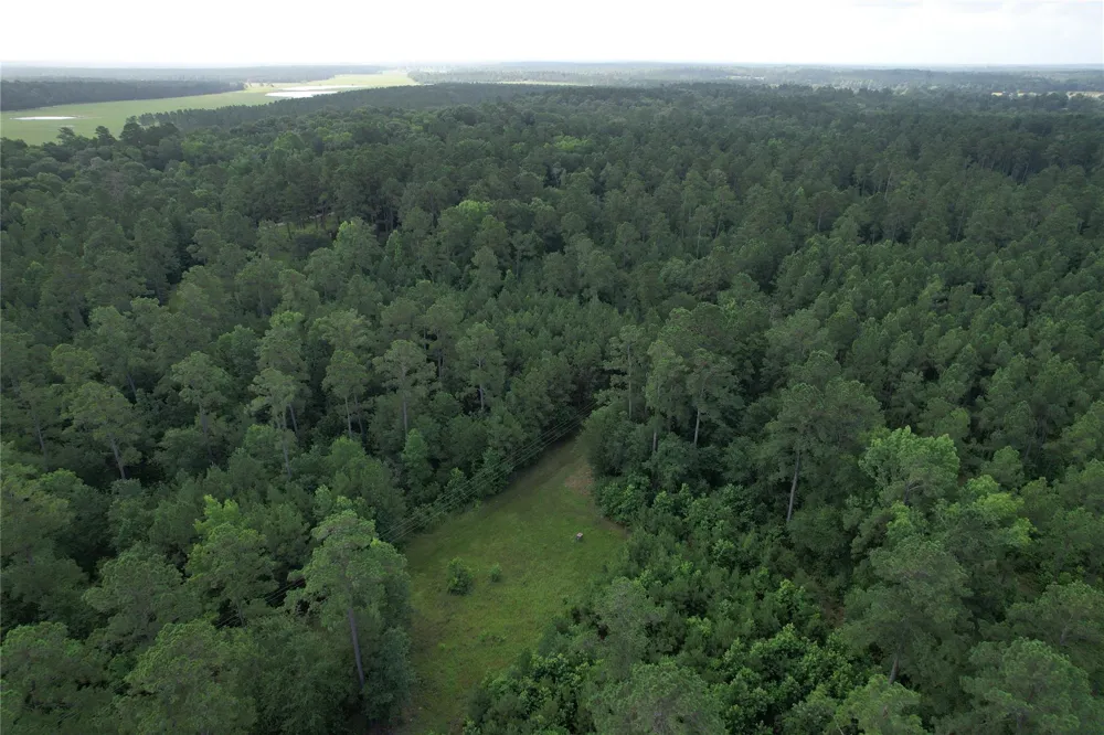 Cr 4020 Crockett, TX 75835