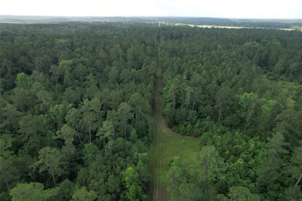 Cr 4020 Crockett, TX 75835