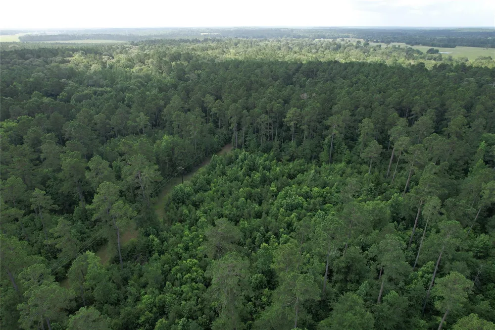 Cr 4020 Crockett, TX 75835