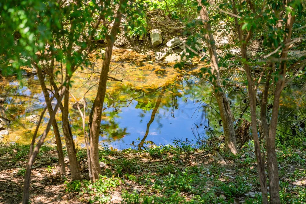 208 Francisco Lemos Street Kerrville, TX 78028