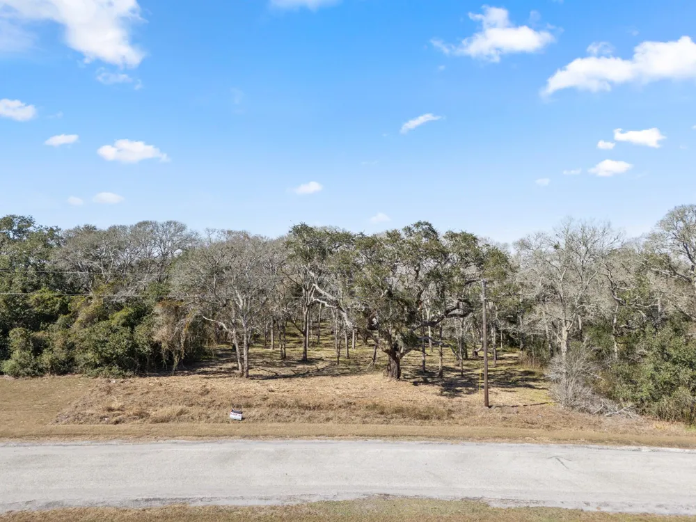 11 River Hollow Way Blessing, TX 77419