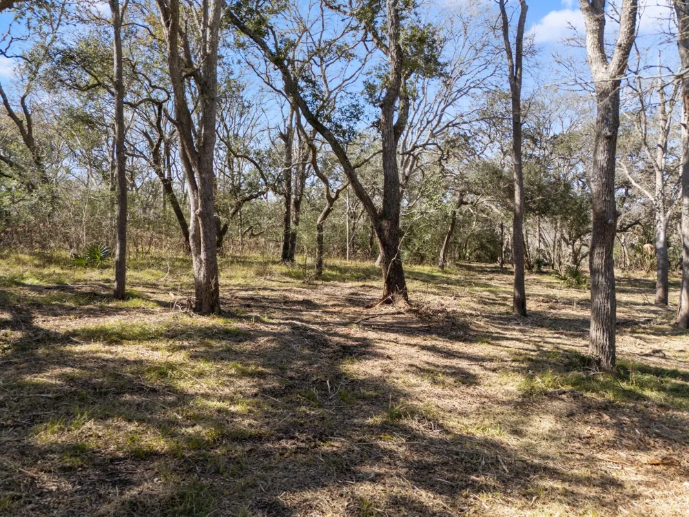 11 River Hollow Way Blessing, TX 77419
