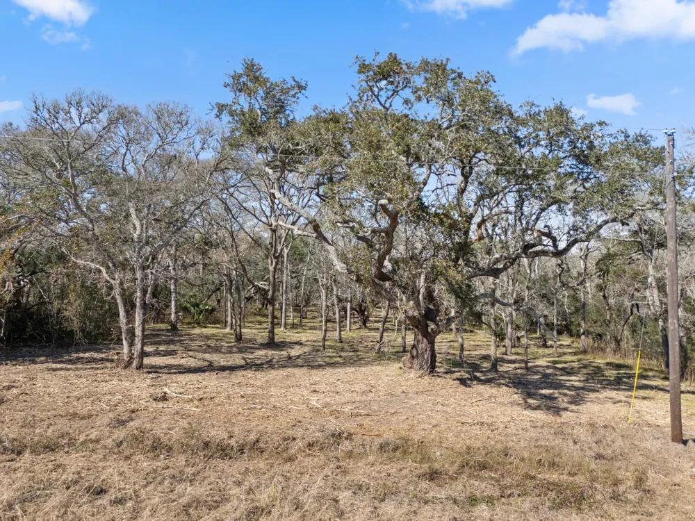 11 River Hollow Way Blessing, TX 77419