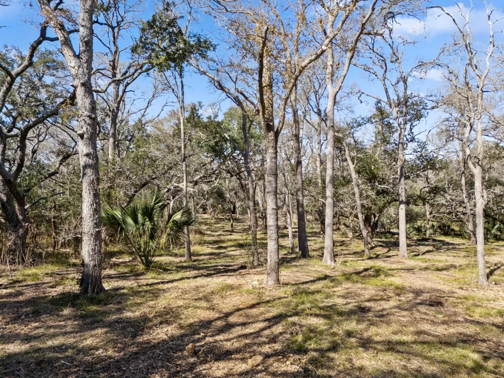 11 River Hollow Way Blessing, TX 77419