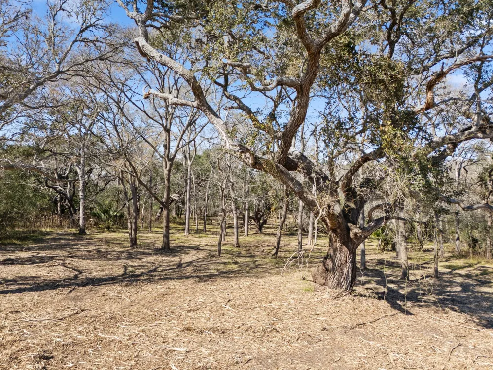 11 River Hollow Way Blessing, TX 77419