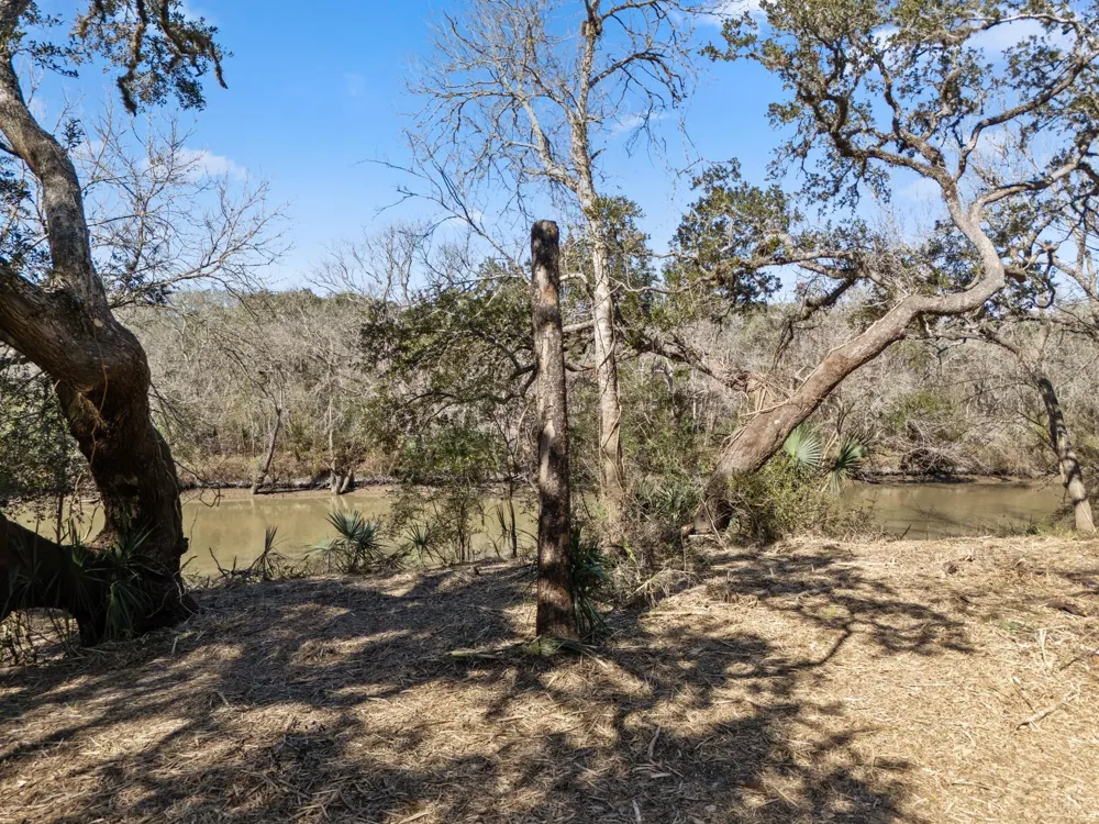 11 River Hollow Way Blessing, TX 77419