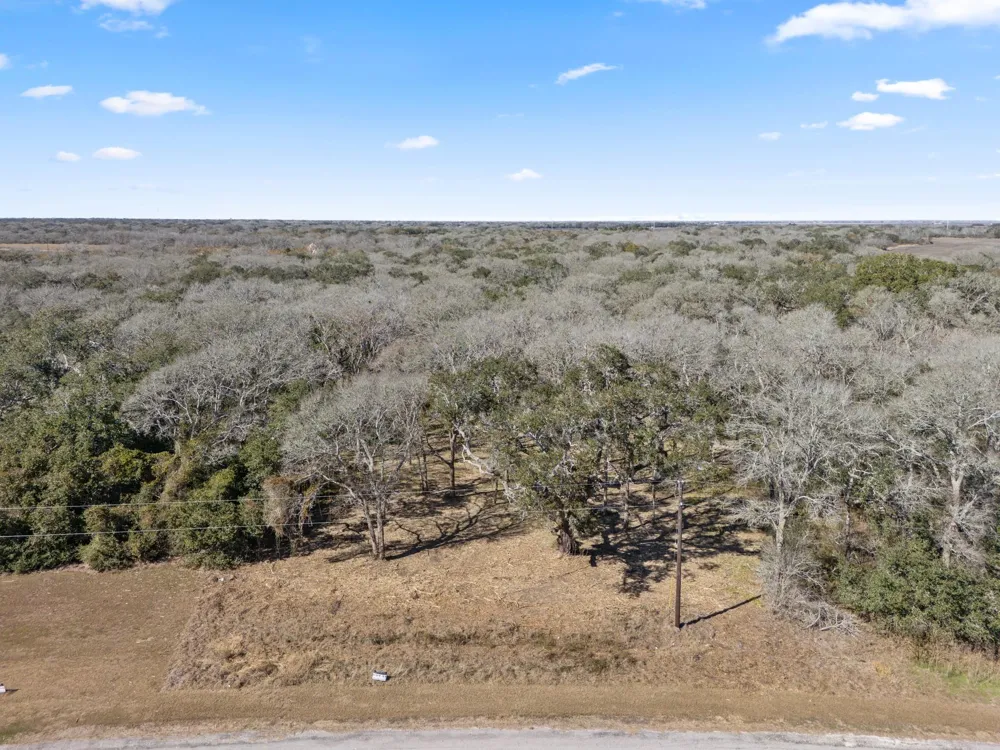 11 River Hollow Way Blessing, TX 77419