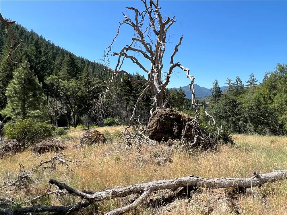 20925 Mid Mountain (17N17 USFS) Road Upper Lake, CA 95469