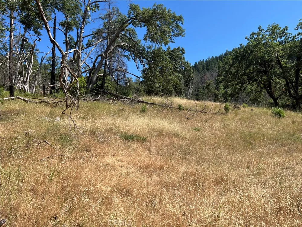 20925 Mid Mountain (17N17 USFS) Road Upper Lake, CA 95469