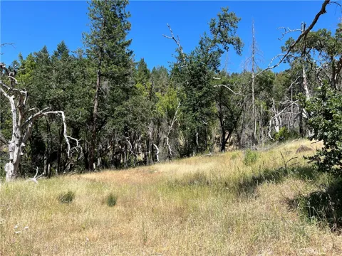 20925 Mid Mountain (17N17 USFS) Road