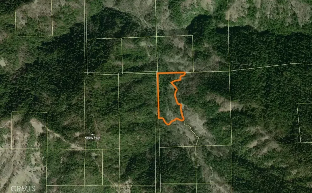 20925 Mid Mountain (17N17 USFS) Road Upper Lake, CA 95469