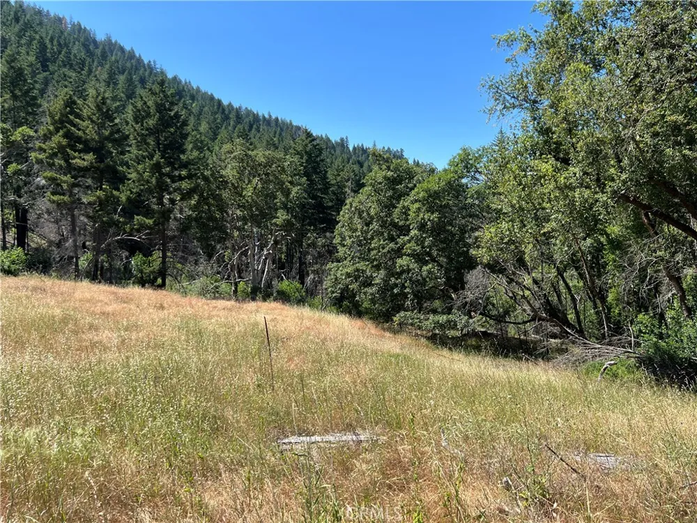 20925 Mid Mountain (17N17 USFS) Road Upper Lake, CA 95469