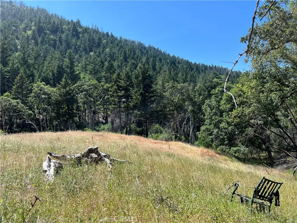 20925 Mid Mountain (17N17 USFS) Road Upper Lake, CA 95469