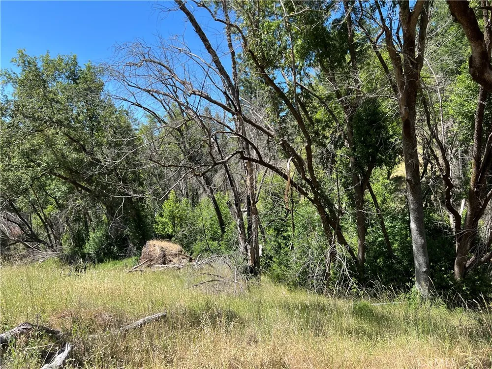 20925 Mid Mountain (17N17 USFS) Road Upper Lake, CA 95469