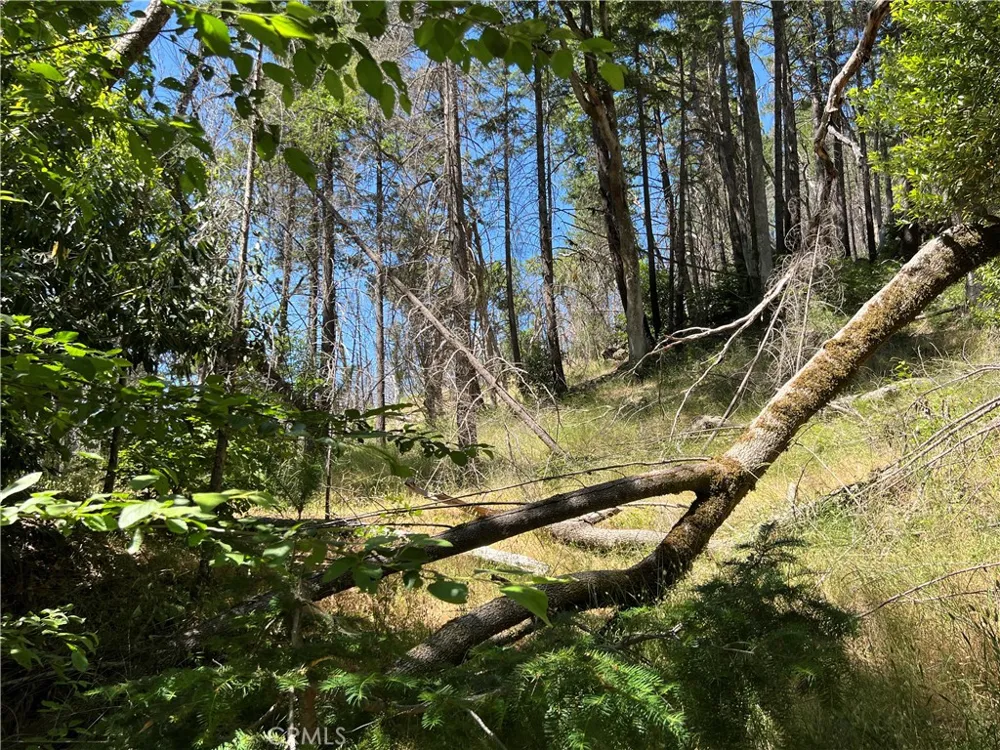 20925 Mid Mountain (17N17 USFS) Road Upper Lake, CA 95469